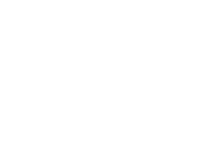 CPFL Energia CPFL Energia